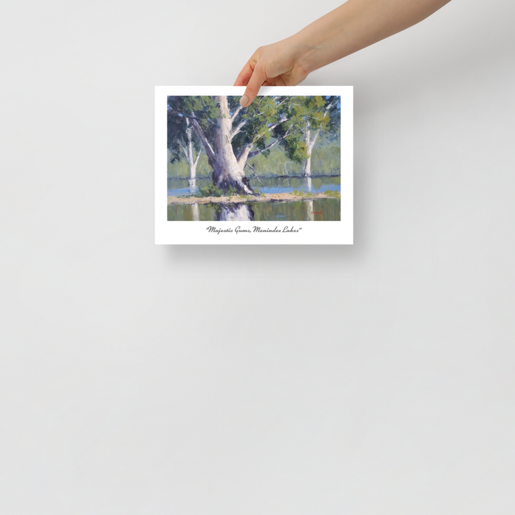 8 x 10" Print Majestic Gums Menindee Lakes