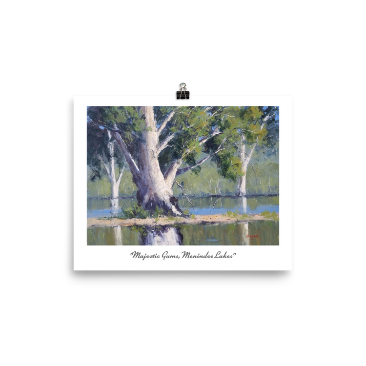 8 x 10" Print Majestic Gums Menindee Lakes