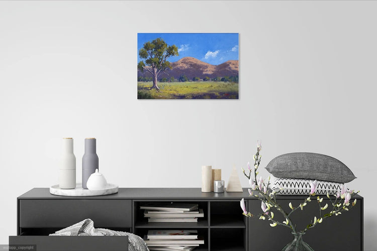 Near Wilpena Pound