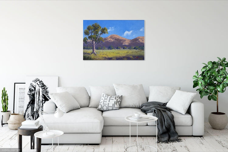 Near Wilpena Pound